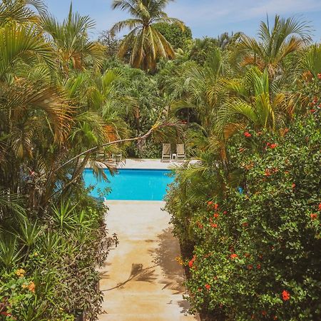 Hotel Villa Del Sol 코코 외부 사진