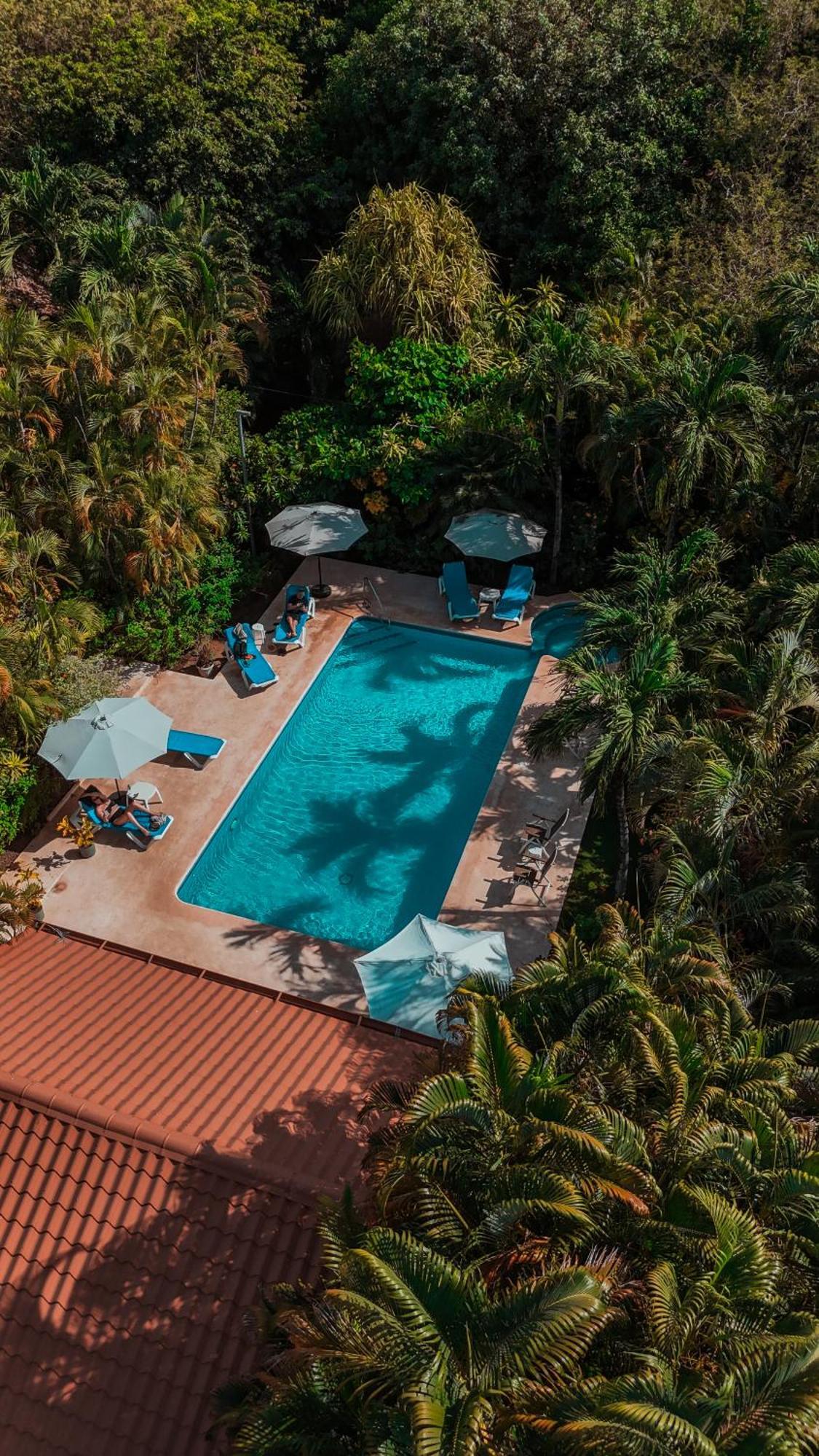 Hotel Villa Del Sol 코코 외부 사진