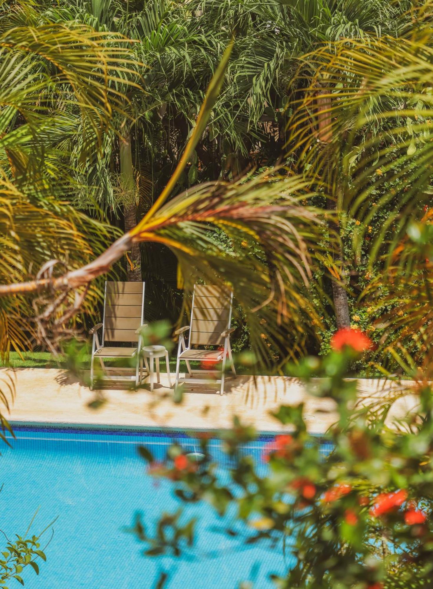 Hotel Villa Del Sol 코코 외부 사진